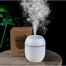 Mini Humidificador Difusor de Aromas 220